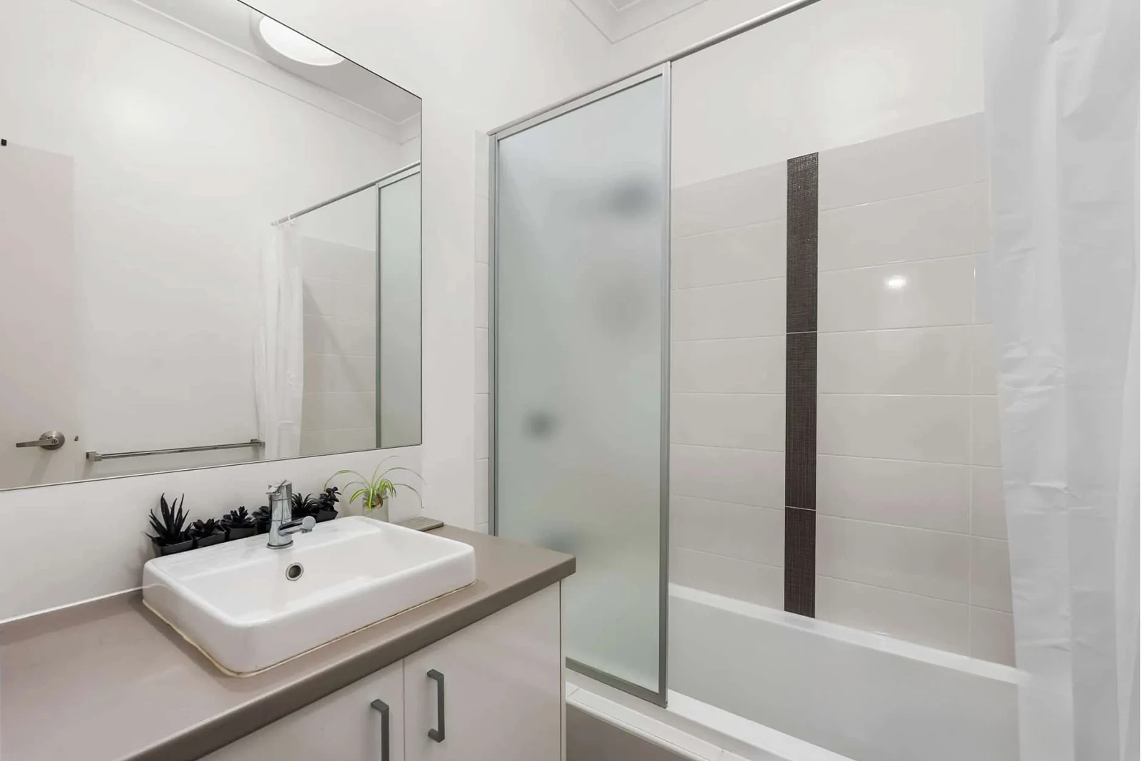 Shower door