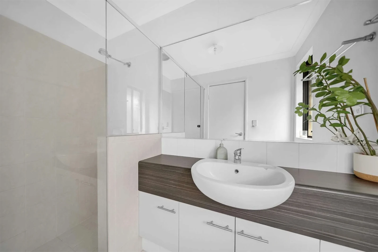 Shower door